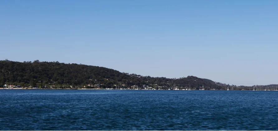 Palm Beach emergency